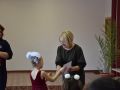 DSC 0265 DSC 0265