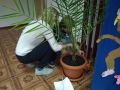 IMG 20200123 140432 IMG 20200123 140432