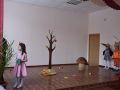 DSC 0293 DSC 0293