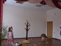 DSC 0294 DSC 0294