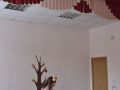 DSC 0299 DSC 0299