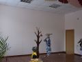 DSC 0330 DSC 0330