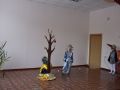 DSC 0331 DSC 0331