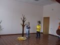 DSC 0338 DSC 0338