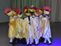 DSC 0293 DSC 0293