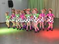 DSC 0310 DSC 0310