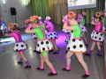 DSC 0311 DSC 0311