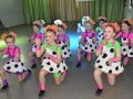 DSC 0312 DSC 0312